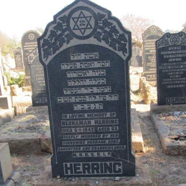 HERRING Nechamah -1942