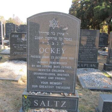 SALTZ Ockey -1991