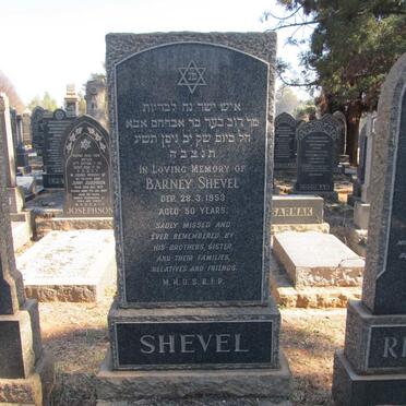 SHEVEL Barney -1953