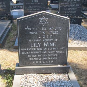 WINE Lily -1987