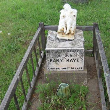 KAYE Baby
