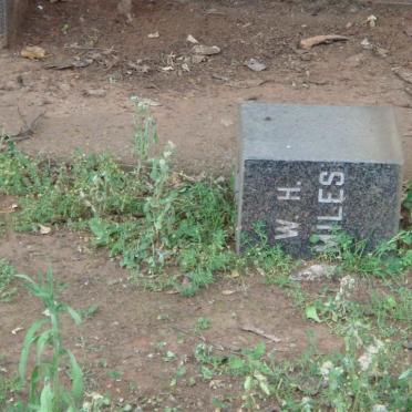 MILES W.H.