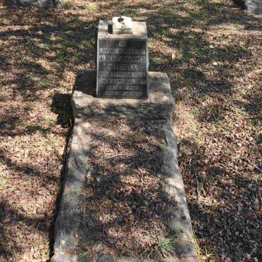 MITCHELL Albert Johannes 1926-1927
