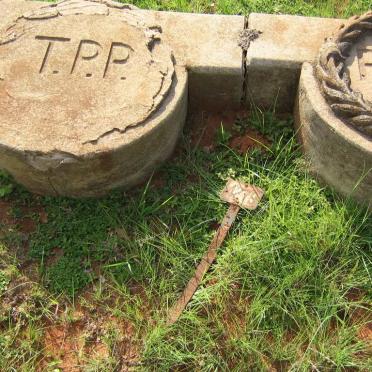 PADDY T.P.P.