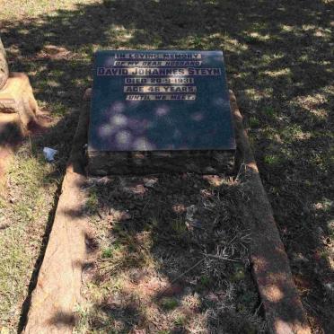 STEYN David Johannes -1931