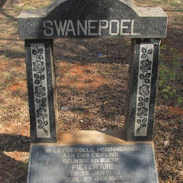 SWANEPOEL Pietertjie 1948-1949