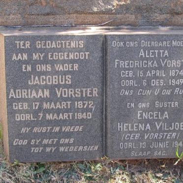 VORSTER Jacobus Adriaan 1872-1940 &amp; Aletta Fredericka 1874-1949 :: VILJOEN Engela Helena nee VORSTER -1948