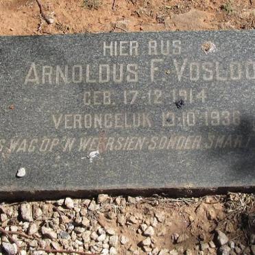 VOSLOO Arnoldus F. 1914-1936