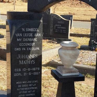 BRUIN Johannes Mathys, de 1879-1967