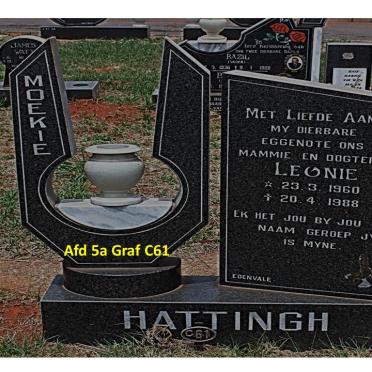 HATTINGH Leonie 1960-1988