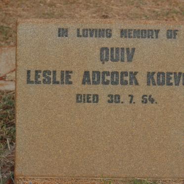 KOEVORT Leslie Adcock -1954