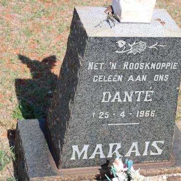 MARAIS Danté 1966