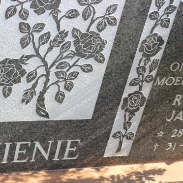 MIENIE Marthuinus Petrus 1927-1980 &amp; Rosina Jacoba 1932-1998