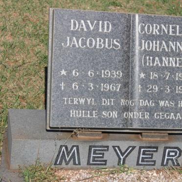 MEYER David Jacobus 1939-1967 :: MEYER Corneles Johannes 1963-1986