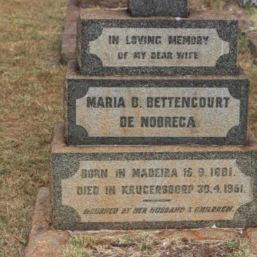 NOBREGA Maria B. Bettencourt, de 1881-1951