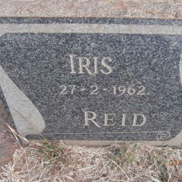 REID Iris -1962