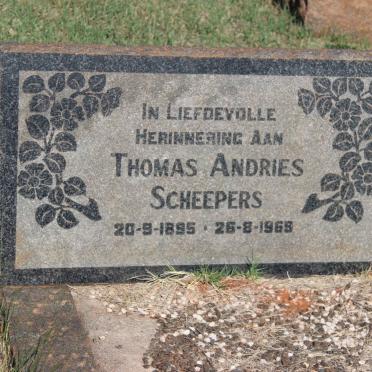 SCHEEPERS Thomas Andries 1895-1965