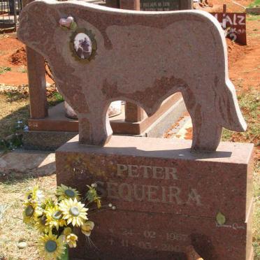 SEQUEIRA Peter 1967-200?