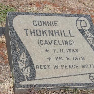 THOKNHILL Connie nee CAVELING 1883-1978