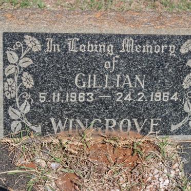 WINGROVE Gillian 1963-1964