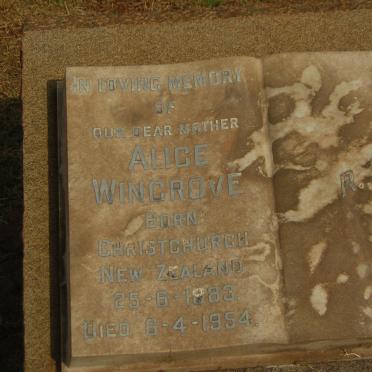 WINGROVE Alice 1883-1954
