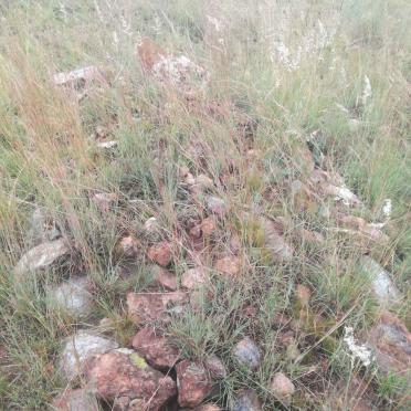 Gauteng, KRUGERSDORP district, Sterkfontein, Sterkfontein 173_2, Oaktree, farm cemetery