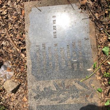 LIZAMORE William 1854-1931 &amp; Susanna N.M. BOTHMA 1862-1956