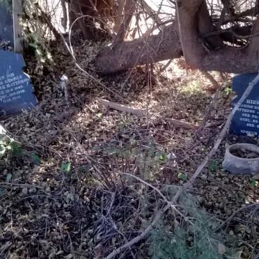 Gauteng, KRUGERSDORP district, Kromdraai, Kromdraai 520_8, farm cemetery