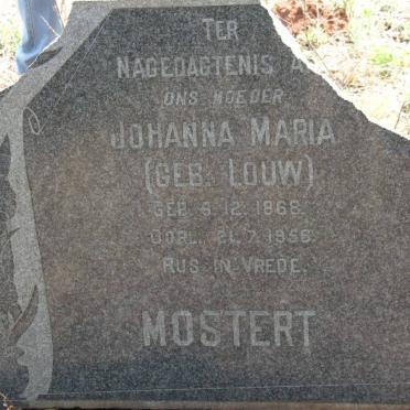 Gauteng, KRUGERSDORP district, Kromdraai, Kromdraai 520_5, farm cemetery
