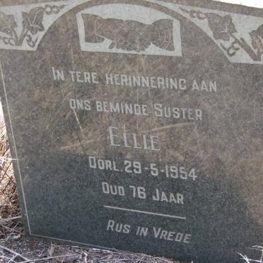 ? Ellie -1954