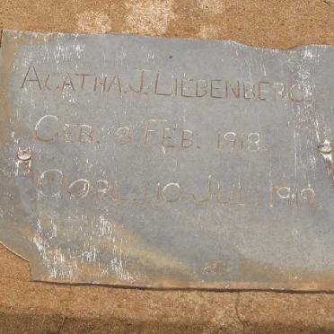 LIEBENBERG Agatha J. 1918-1919