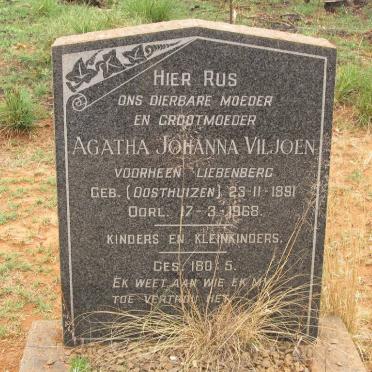 VILJOEN Agatha Johanna, formerly LIEBENBERG, nee OOSTHUIZEN 1891-1968