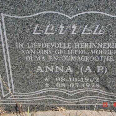 LOTTER A.P. 1902-1978
