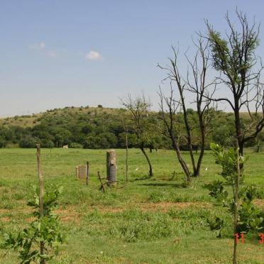 1. Overview