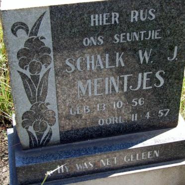 MEINTJES Schalk W.J. 1956-1957