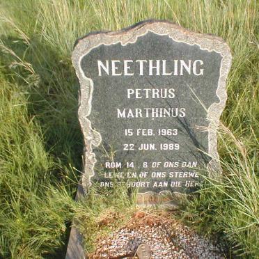 NEETHLING Petrus Marthinus 1963-1989