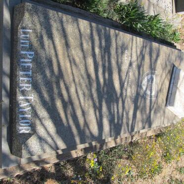 TAYLOR Pieter 1961-1981