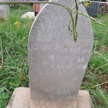 Gauteng, NIGEL district, Witkop 330 IR, Witkop 25, farm cemetery_4