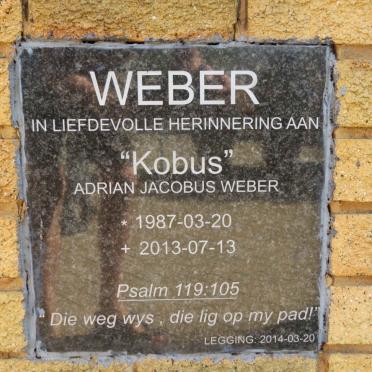 WEBER Adrian Jacobus 1987-2013
