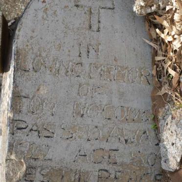 NGCONG0 Tom -1922