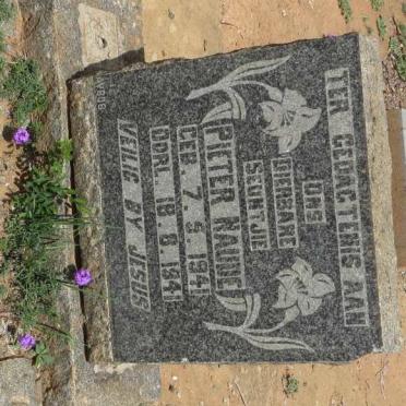 NAUDE Pieter 1941-1941