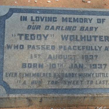 WOLHUTER Teddy 1937-1937