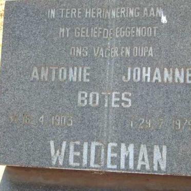 WEIDEMAN Antonie Johannes Botes 1903-1979