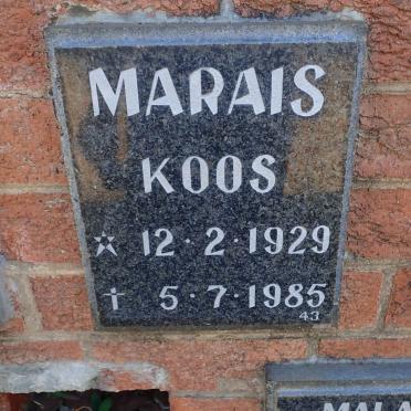 MARAIS Koos 1929-1985
