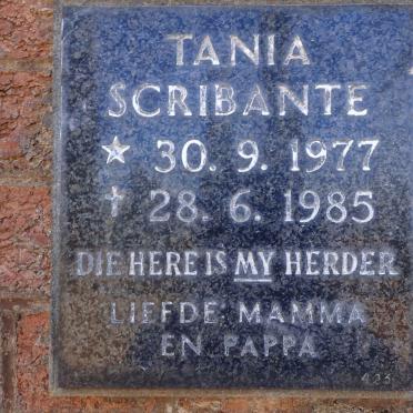 SCRIBANTE Tania 1977-1985