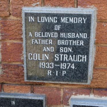STRAUCH Colin 1933-1974