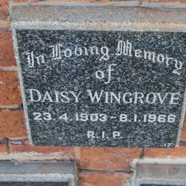 WINGROVE Daisy 1903-1966