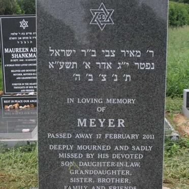 SNAID Meyer -2011