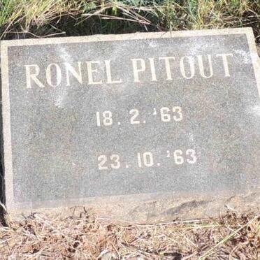 PITOUT Ronel 1963-1963