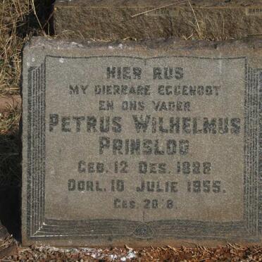 PRINSLOO Petrus Wilhelmus 1888-1955